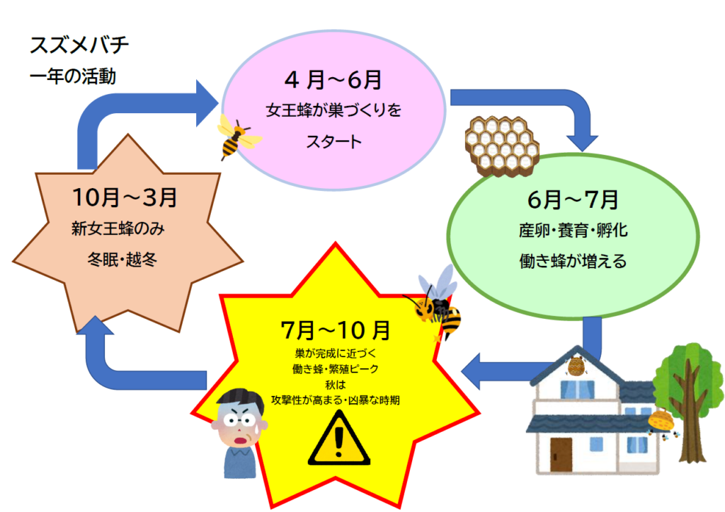 ハチ営巣